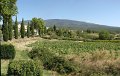 les baux en ventoux
